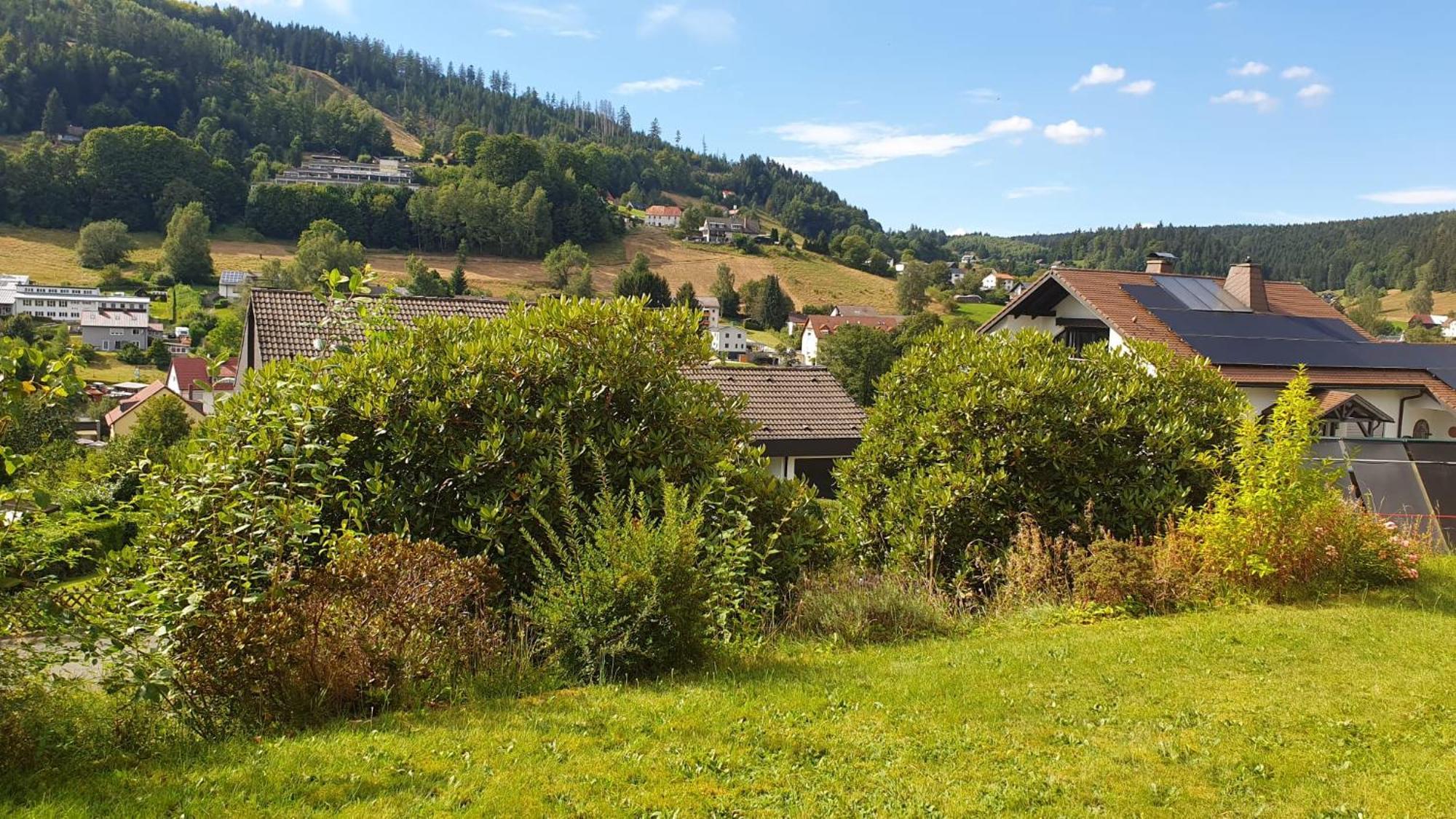 Green Hills Holiday House Варменщайнах Екстериор снимка